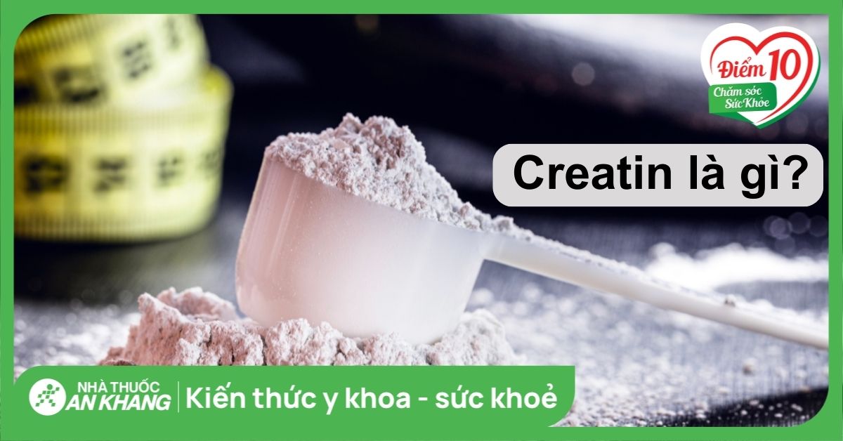 tác dụng của creatine - Creatine hoạt động như thế nào trong cơ thể?