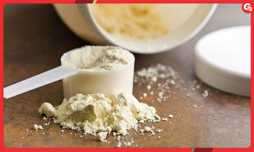 Whey protein là gì? Không phải “bột sữa”, mà là một phức hợp sinh học có cấu trúc đặc biệt