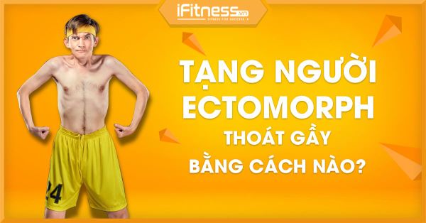 Chế độ dinh dưỡng cho người ectomorph: Ăn đúng — không phải ăn nhiều