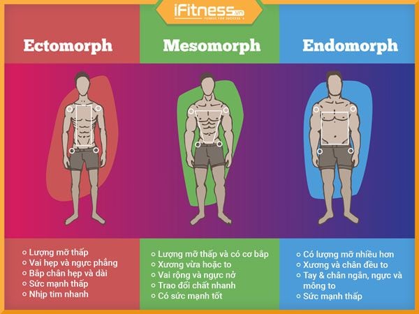 Cách tập luyện cho tạng người ectomorph: Ít hơn — nhưng sâu hơn