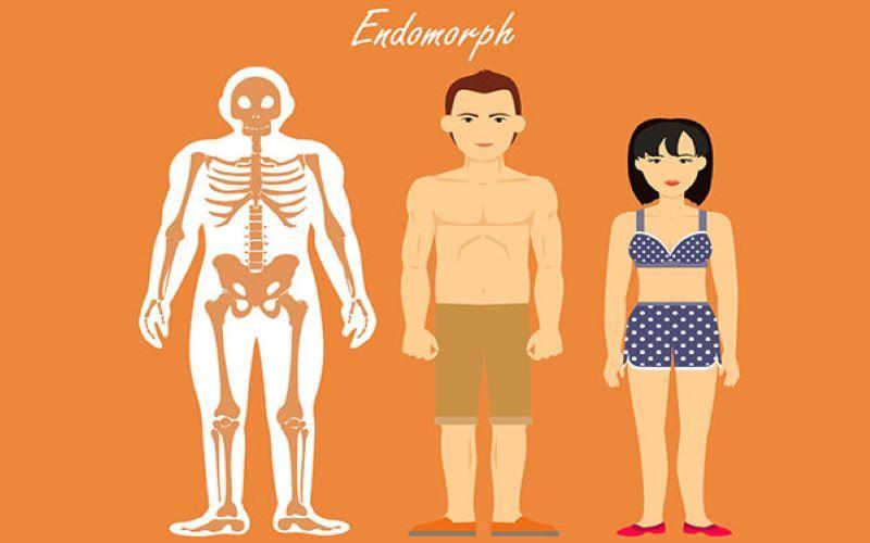 Endomorph là gì? Không phải “người mập”, mà là người chuyển hóa chậm Endomorph là gì? Không phải “người mập”, mà là người chuyển hóa chậm