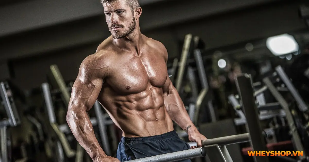 Ưu điểm thực tế của tạng người Mesomorph — và tại sao chúng dễ bị đánh mất Ưu điểm thực tế của tạng người Mesomorph — và tại sao chúng dễ bị đánh mất