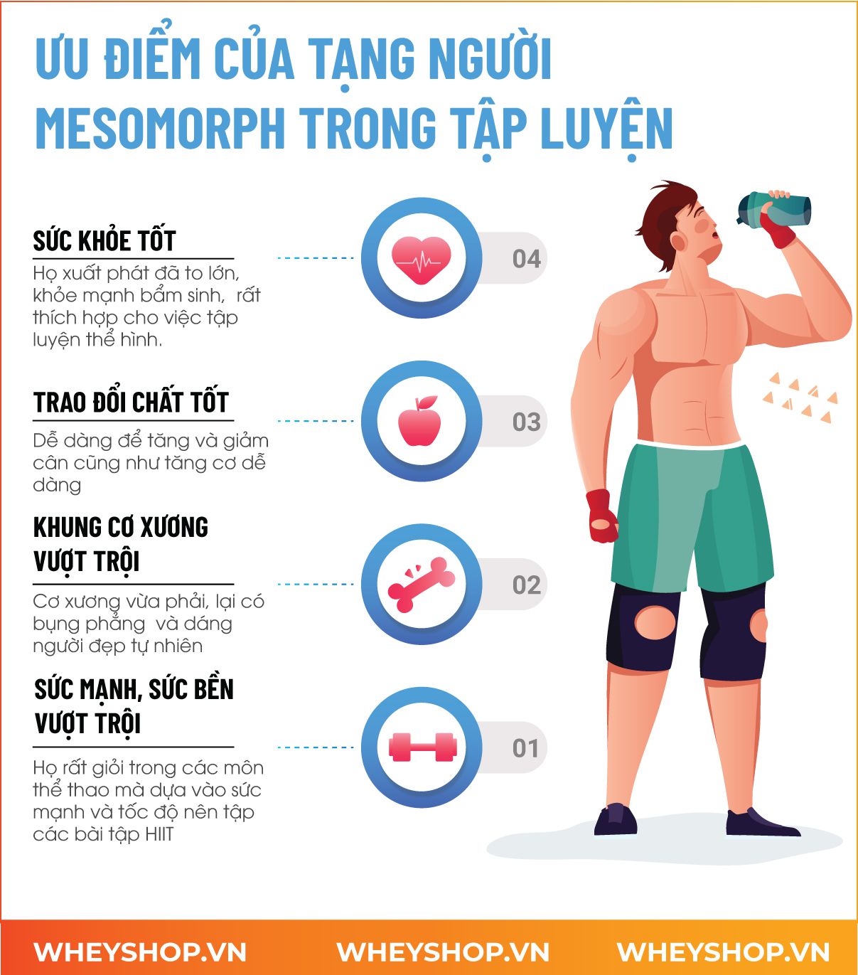 Tạng người Mesomorph là gì? Không phải “người đẹp tự nhiên”, mà là mô hình sinh học cụ thể Tạng người Mesomorph là gì? Không phải “người đẹp tự nhiên”, mà là mô hình sinh học cụ thể