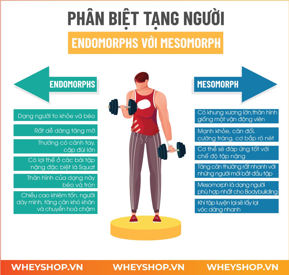Thứ nhất: Tập quá nhiều nhóm cơ cùng lúc Thứ nhất: Tập quá nhiều nhóm cơ cùng lúc