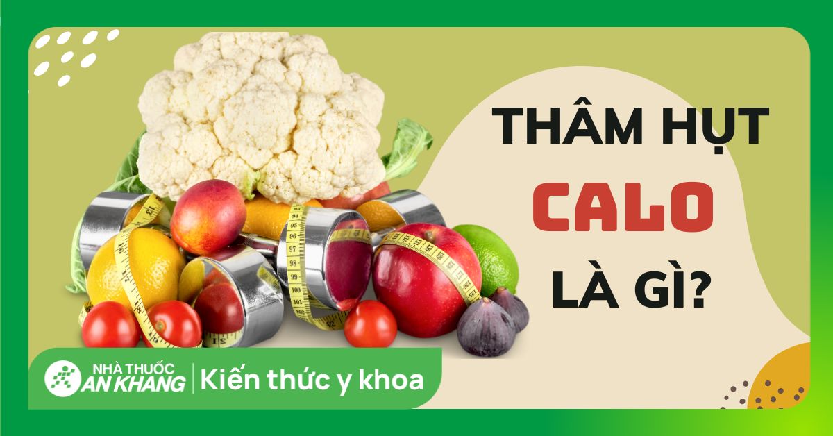 Thâm hụt calo có ý nghĩa gì trong giảm mỡ — và tại sao nó KHÔNG đồng nghĩa với “giảm cân”