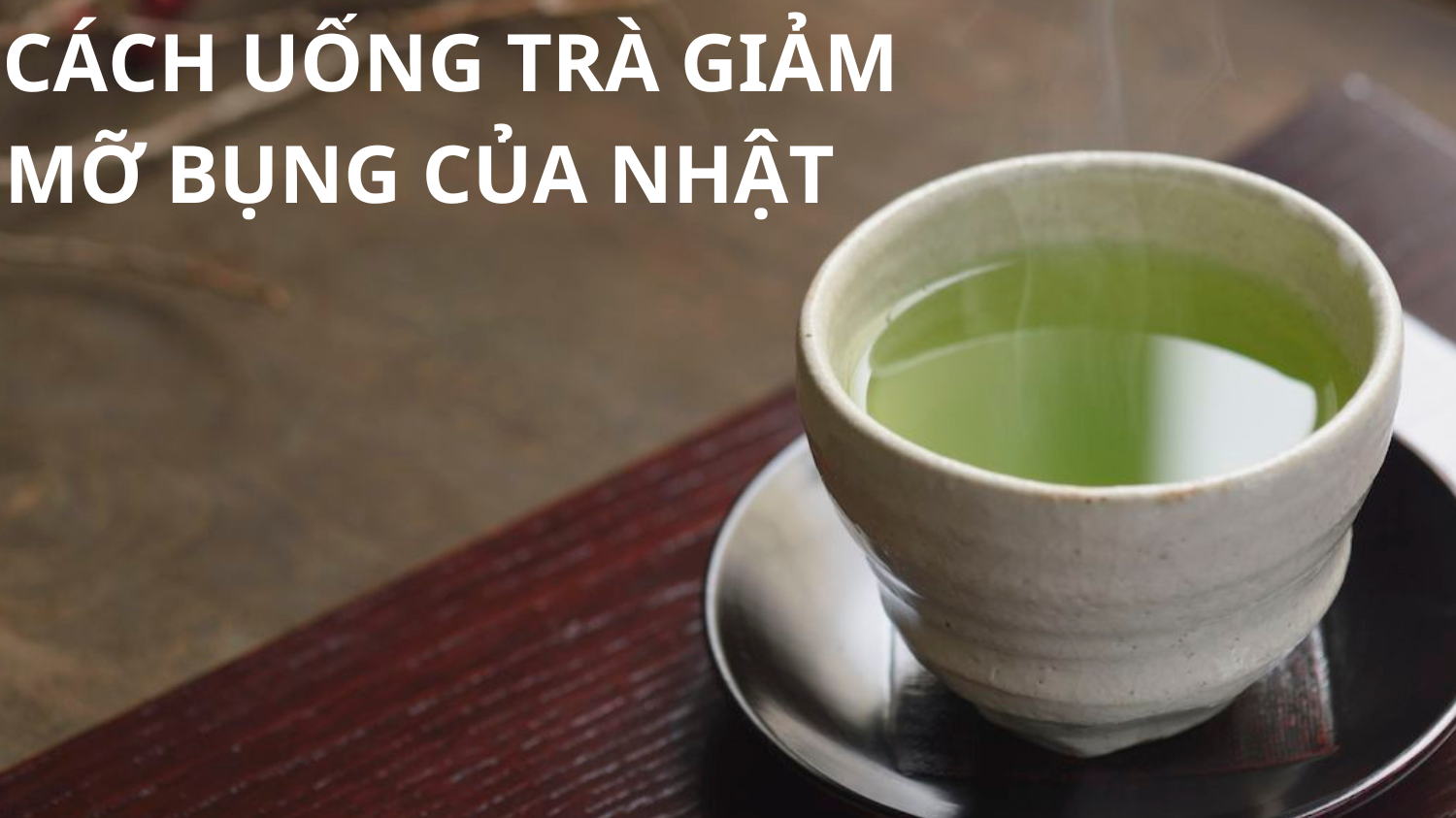 Cơ chế thật sự của trà giảm mỡ bụng: Không phải “đốt mỡ”, mà là điều chỉnh chuyển hóa