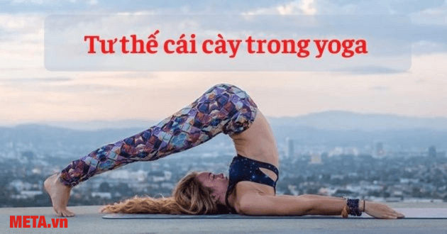Lợi ích thực chứng của tư thế cái cày yoga — không phải tất cả đều đúng