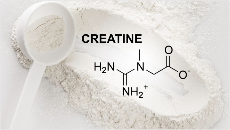 Cơ chế rụng tóc thực sự — và tại sao creatine gần như không thể can thiệp