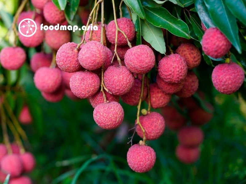 100g vải thiều bao nhiêu calo? Không chỉ là con số — mà là cấu trúc dinh dưỡng cụ thể 100g vải thiều bao nhiêu calo? Không chỉ là con số — mà là cấu trúc dinh dưỡng cụ thể