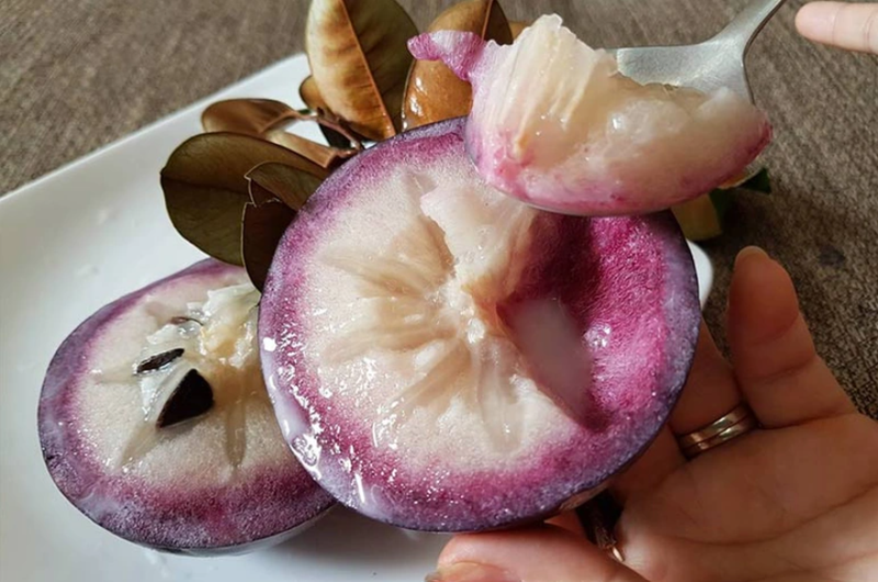 Sai Lầm Thường Gặp Khi Ăn Vú Sữa Để Kiểm Soát Cân Nặng Sai Lầm Thường Gặp Khi Ăn Vú Sữa Để Kiểm Soát Cân Nặng