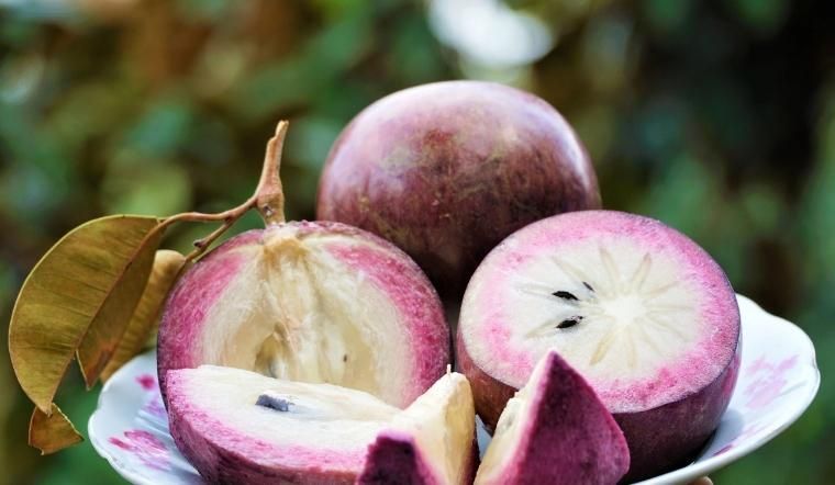 Vú Sữa Bao Nhiêu Calo? Không Chỉ Là Con Số Trên Bảng Dinh Dưỡng