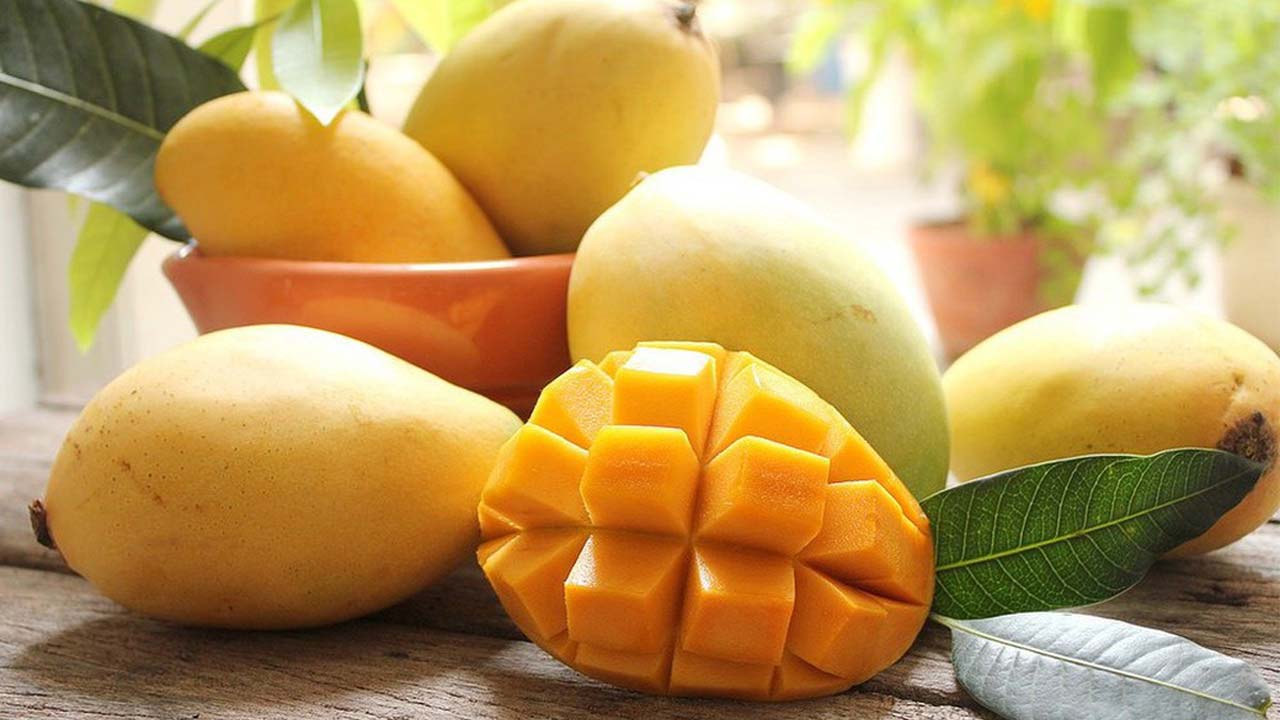 xoài chín bao nhiêu calo - Vì sao xoài chín lại có nhiều calo hơn xoài xanh — và điều đó không có nghĩa là “xấu”?