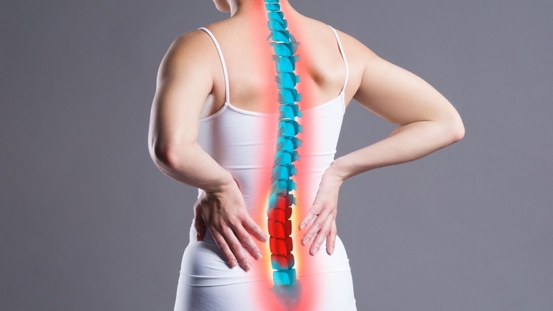 Phân tích calo theo từng thành phần: Đâu là “điểm nóng” thực sự? Phân tích calo theo từng thành phần: Đâu là “điểm nóng” thực sự?