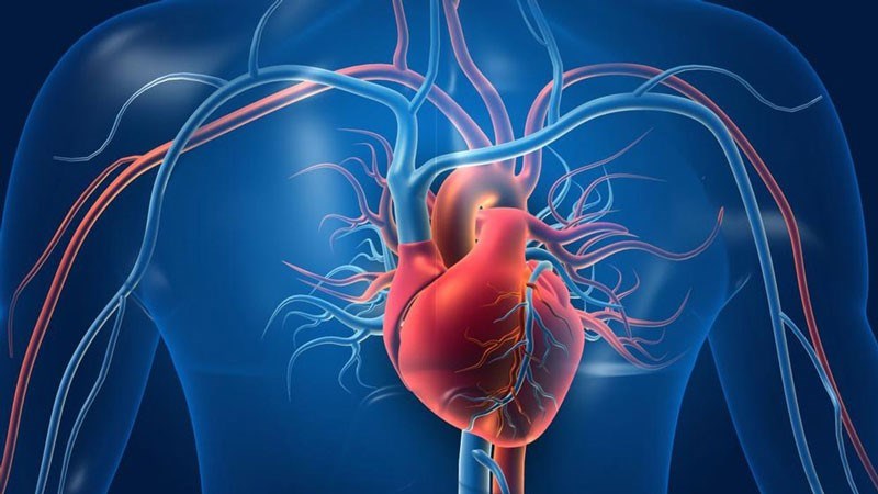 Thiết bị và không gian tập: Không phải “càng đắt càng tốt”, mà là “càng chuẩn càng an toàn”